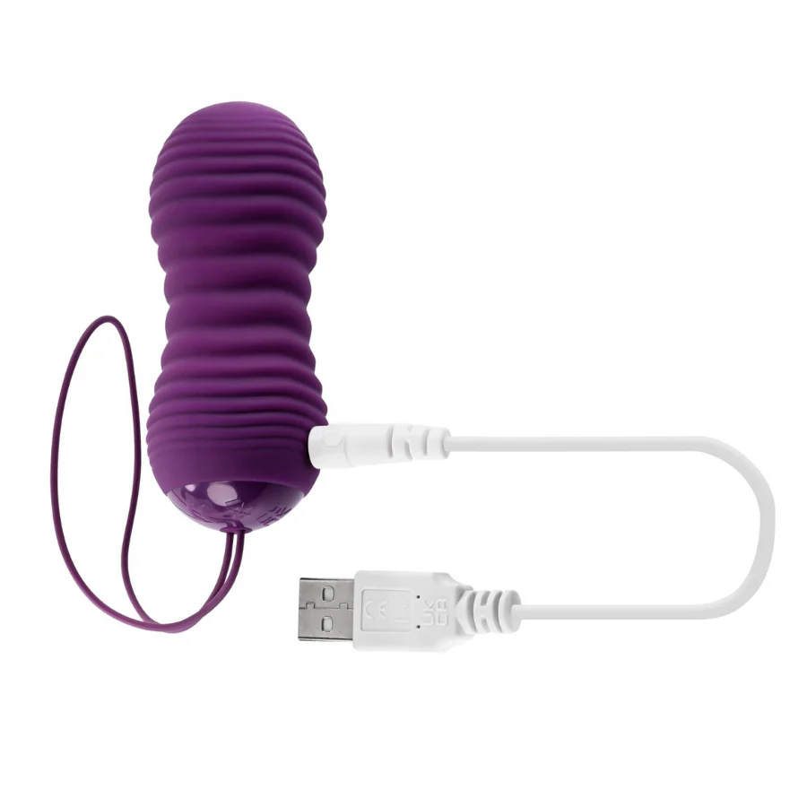Huevo Vibrador Pasion Evolved - Image 3
