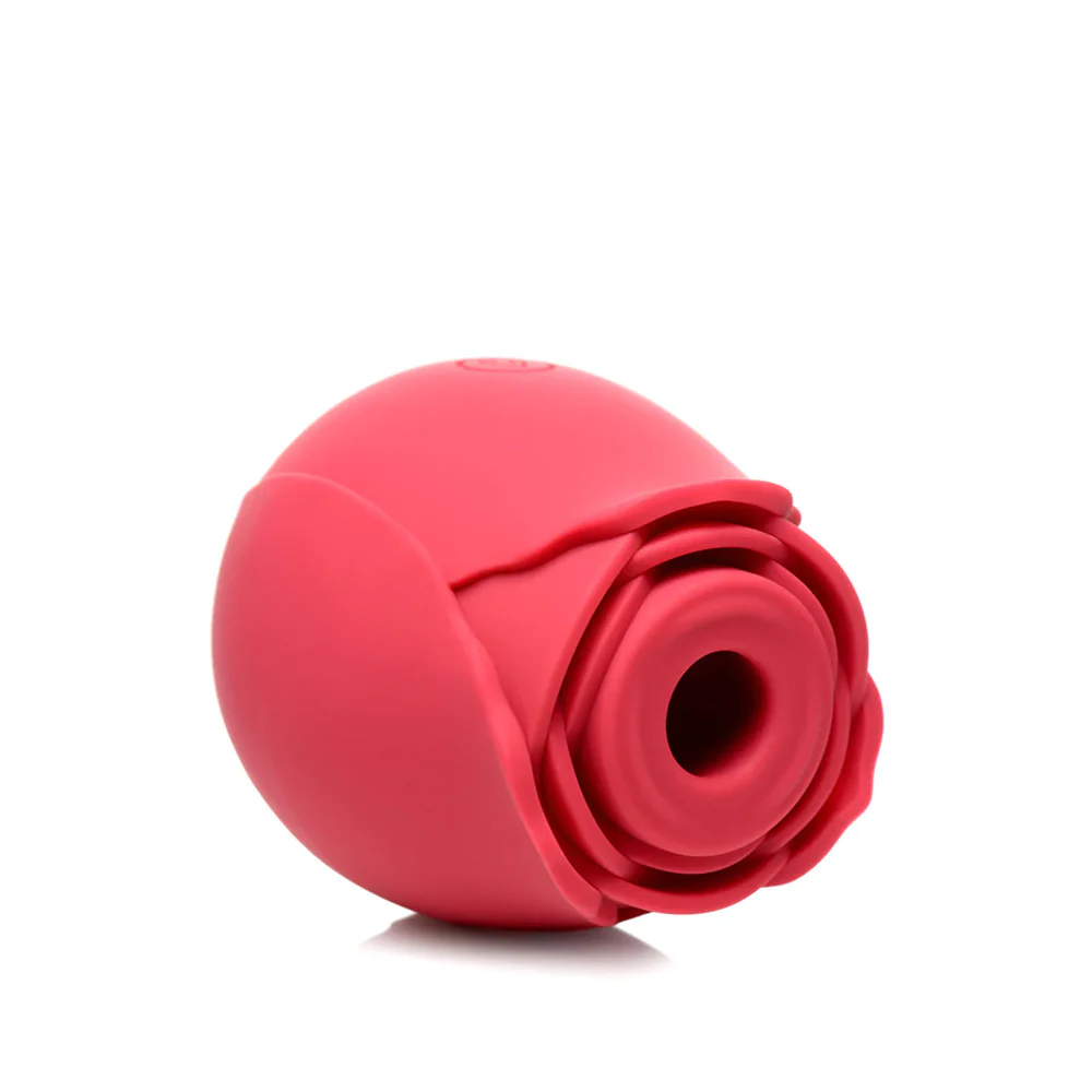 Kit Succionador Rose Camtoyz - Image 4